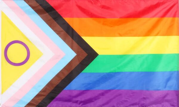 تعریف و تصویف مختصر برخی جنسیتها و گرایشات جنسی در طیف +LGBTIA