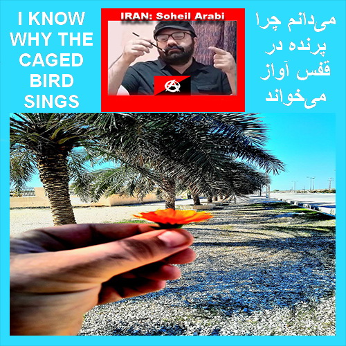 سُهیل عرَبی: میدانم چرا پرنده در قفس آواز میخواند + ویدئوکلیپ