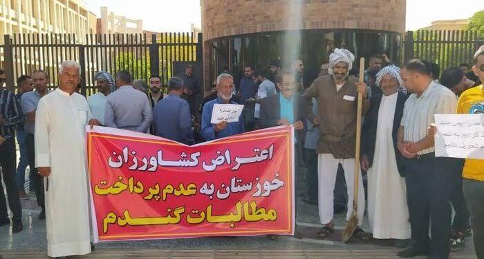 بیانیه حمایت همه جانبه جبهه آنارشیستی از راهپیمایی اعتراضی گندم‌کاران خوزستان
