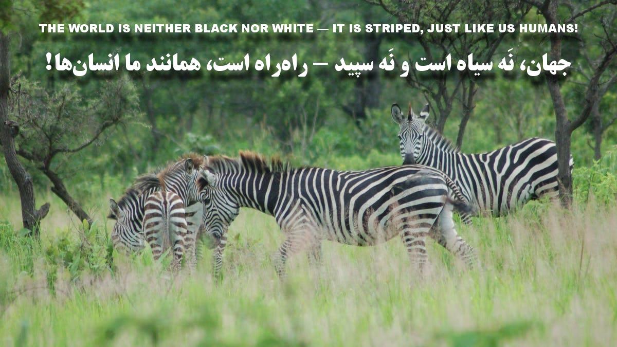 جهان، نَه سیاه است و نَه سپید – راه‌راه است، همانند ما انسان‌ها!